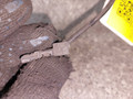 датчик ABS Renault Espace 4 поколение (2002 - 2006), 8200084125 - фото №2