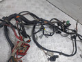 проводка двигателя Renault Megane 2 поколение (2002 - 2006), 1.5 л., DCi, K9K 724, дизель, МКПП, 8200574684 - фото №3