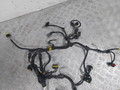 проводка двигателя Fiat Punto 2 поколение [рестайлинг] (2003 - 2011), 1.4 л., i, 350 A1.000, бензин, МКПП, 55203697 - фото №3