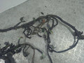 проводка двигателя Nissan Almera N16 (2000 - 2003), 1.8 л., i, QG18DE, бензин, МКПП, 24011-BM610 - фото №2
