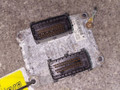 блок управления двигателем Opel Corsa D (2006 - 2010), 1.4 л., i, Z 14 XEP, бензин, МКПП, 0261208255, 55353613 - фото №2
