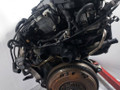 двигатель Volkswagen Golf 4 поколение (1997 - 2006), 1.4 л., i, AKQ, бензин, МКПП - фото №10
