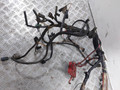 проводка двигателя Renault Scenic 2 поколение (2003 - 2006), 1.5 л., DCi, K9K 728, дизель, МКПП, 8200435947 - фото №2