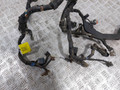 проводка двигателя Kia Rio 2 поколение (2005 - 2009), 1.6 л., i, G4ED, бензин, МКПП, 91400-1G190 - фото №2