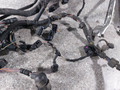 проводка двигателя Volkswagen Phaeton 1 поколение (2002 - 2008), 3.0 л., TDi, BMK, дизель, АКПП, полный привод, 3D1971610E - фото №3