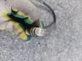 датчик ABS Renault Logan 1 поколение (2004 - 2009), 8200254688, 0285007582 - фото №3