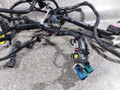 проводка двигателя Ford Focus 2 поколение (2004 - 2008), 1.8 л., i, Q7DA, бензин, МКПП, 3M5T-12A690-UAH, 6M5T-14A280-CAA - фото №3