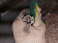 датчик ABS Lexus RX 2 поколение (2003 - 2006), 3.3 л., бензин, 89543-48030 - фото №3