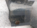 декоративная крышка двигателя Mercedes-Benz C-Класс W203/S203/CL203 (2000 - 2004), 3.2 л., i, A1120100467 - фото №3