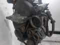 двигатель Volkswagen Golf 4 поколение (1997 - 2006), 1.4 л., i, AKQ, бензин, 5МКПП - фото №3