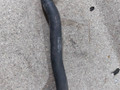 патрубок радиатора Mercedes-Benz E-Класс W211/S211 [рестайлинг] (2006 - 2009), 3.0 л., CDi, OM 642.920, дизель, АКПП, задний привод, A2115015382 - фото №2