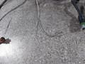 проводка двигателя Opel Astra H (2004 - 2007), 1.6 л., i, Z 16 XEP, бензин, МКПП, 24467251, 55556414 - фото №3