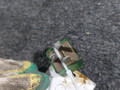 реле (прочие) Opel Omega B (1994 - 1999), 2.5 л., TD, X 25 DT, дизель, МКПП, задний привод, 03447012 - фото №2