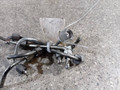 трубка топливная Opel Insignia 1 поколение (A) (2008 - 2014), 2.0 л., CDTi, A 20 DTH, дизель, 6МКПП, передний привод - фото №2
