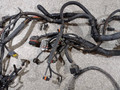 проводка двигателя Renault Kangoo 1 поколение (1997 - 2003), 1.9 л., DCi, F9Q 790, дизель, 5МКПП, полный привод, 8200228095B - фото №3