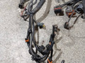 проводка двигателя Renault Kangoo 1 поколение (1997 - 2003), 1.9 л., DCi, F9Q 790, дизель, 5МКПП, полный привод, 8200228095B - фото №4