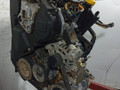 двигатель Renault Kangoo 1 поколение (1997 - 2003), 1.9 л., DCi, F9Q 790, дизель, 5МКПП, полный привод - фото №2