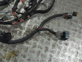 проводка двигателя Renault Scenic 3 поколение (2009 - 2012), 1.5 л., DCi, K9K 846, дизель, МКПП, 240118879R - фото №6