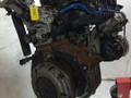 двигатель Fiat Punto 3 поколение (2005 - 2012), 1.2 л., i, 169 A4.000, бензин, 5МКПП - фото №6