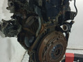 двигатель Opel Astra G (1998 - 2009), 1.6 л., i, Z 16 XE, бензин, 5МКПП - фото №6