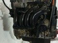 двигатель Skoda Fabia 1 поколение (6Y) (1999 - 2004), 1.4 л., i, BXW, бензин, 5МКПП - фото №7