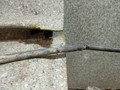электроручник Renault Scenic 2 поколение (2003 - 2006), 8200343471, 01466870840 - фото №6