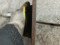диск тормозной задний Volkswagen Tiguan 1 поколение (2007 - 2011), 2.0 л., TDi, дизель, робот, полный привод - фото №2