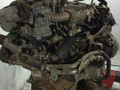 двигатель Opel Zafira 2 поколение (B) (2005 - 2008), 1.9 л., Z 19 DT, дизель, МКПП - фото №6