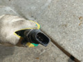 топливная рампа Mercedes-Benz E-Класс W210/S210 (1995 - 1999), 2.2 л., OM 611.961, дизель, МКПП, A6110700495, 0445214064, 0281002700 - фото №2