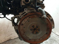 двигатель Ford Focus 2 поколение (2004 - 2008), 1.6 л., i, HWDA, бензин, АКПП - фото №7