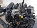 двигатель Mercedes-Benz S-Класс W220 [рестайлинг] (2002 - 2005), 3.2 л., OM 648.960, дизель, АКПП - фото №2