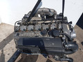 двигатель Mercedes-Benz S-Класс W220 [рестайлинг] (2002 - 2005), 3.2 л., OM 648.960, дизель, АКПП - фото №3