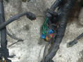 проводка двигателя Ford Focus 2 поколение (2004 - 2008), 1.6 л., TDCi, HHDA, дизель, МКПП, 6M5T12A690FC - фото №3