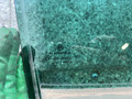 стекло двери задней правой Volkswagen Golf 7 поколение (2012 - 2017), 1.6 л., дизель, универсал - фото №2