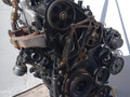 двигатель Volkswagen Sharan 1 поколение (1995 - 2000), 1.9 л., AFN, дизель, МКПП - фото №8