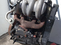 двигатель Renault Megane 1 поколение (1995 - 1999), 1.9 л., D, F8Q 620, дизель, МКПП - фото №8