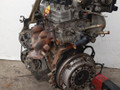 двигатель Nissan Primera P12 (2001 - 2008), 1.6 л., QG16DE, бензин, МКПП - фото №5