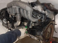 двигатель Mercedes-Benz S-Класс W220 [рестайлинг] (2002 - 2005), 3.2 л., OM 648.960, дизель, АКПП - фото №5