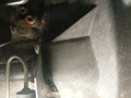 КПП механическая (МКПП) SEAT Altea 1 поколение (2004 - 2009), 1.6 л., BSE, бензин, МКПП, GVY - фото №6