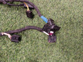 проводка двигателя BMW X5 G05 2020, 3.0 л., дизель, АКПП, c3z(tanzanite blue ii metallic), внедорожник 5 дв., полный привод, правый руль, 12517380120, 7380120, 8589976, 12518589976 - фото №5