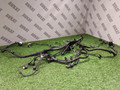 проводка двигателя BMW X3 G45 2025, 2.0 л., b48b20s, бензин, a300, полный привод, 12515A8D697, 5A8D697 - фото №15