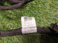 дверная проводка BMW X3 G45 2025, 2.0 л., b48b20s, бензин, a300, полный привод, 5B3FB87, 5B3FB84, 61125B3FB91, 5B3FB91 - фото №9
