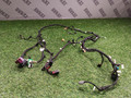 проводка торпеды BMW X3 G45 2025, 2.0 л., b48b20s, бензин, a300, полный привод, 5B3FAD2, 5B3FAE1, 61125B3FAE1, 61125B3FAD2 - фото №6
