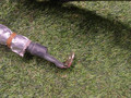 плюсовой провод аккумулятора BMW X3 G45 2025, 2.0 л., b48b20s, бензин, a300, полный привод, 61125A6E332, 5A6E332 - фото №2