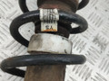 амортизатор задний BMW 5 серия F07/F10/F11 F10 2011, 3.0 л., N57 D30 A, дизель, АКПП, carbonschwarz metallic (416), седан, задний привод, правый руль - фото №4
