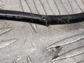датчик ABS BMW 5 серия F07/F10/F11 2011, 3.0 л., N57 D30 A, дизель, АКПП, sophistog brillan metallic (a90), универсал, задний привод, правый руль, 34526775866, 0265008036 - фото №3