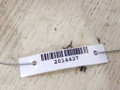 кнопка обогрева заднего стекла Subaru Legacy 2 поколение 1998, 2.0 л., i, EJ20, бензин, МКПП, серебристый, универсал, полный привод, 2014427 - фото №3