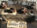 блок ABS Kia Rio 1 поколение 2000, 1.3 л., i, бензин, 0K30C437A0 - фото №2