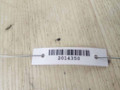 петля двери Mercedes-Benz R-Класс W251 V251.165 2006, 3.5 л., i, M 272.967, бензин, АКПП, бордовый, минивэн, полный привод, A2517201537, A2517200337 - фото №2