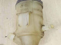 бачок гидроусилителя Fiat Scudo 1 поколение 2002, 1.9 л., D, WJY (DW8B), дизель, 5МКПП, белый, фургон, передний привод - фото №2